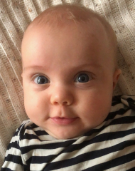 Image of Rain  Leary